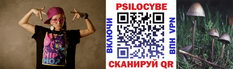 Галлюциногенные грибы Psilocybe  Купить  Богородицк 